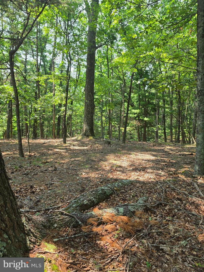 Chase Woods Lane Lots 2-6 Property Photo 16