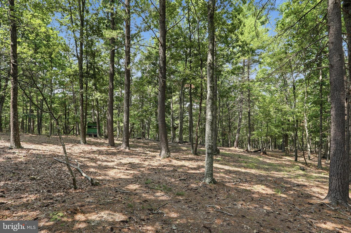 Chase Woods Lane Lots 2-6 Property Photo 17