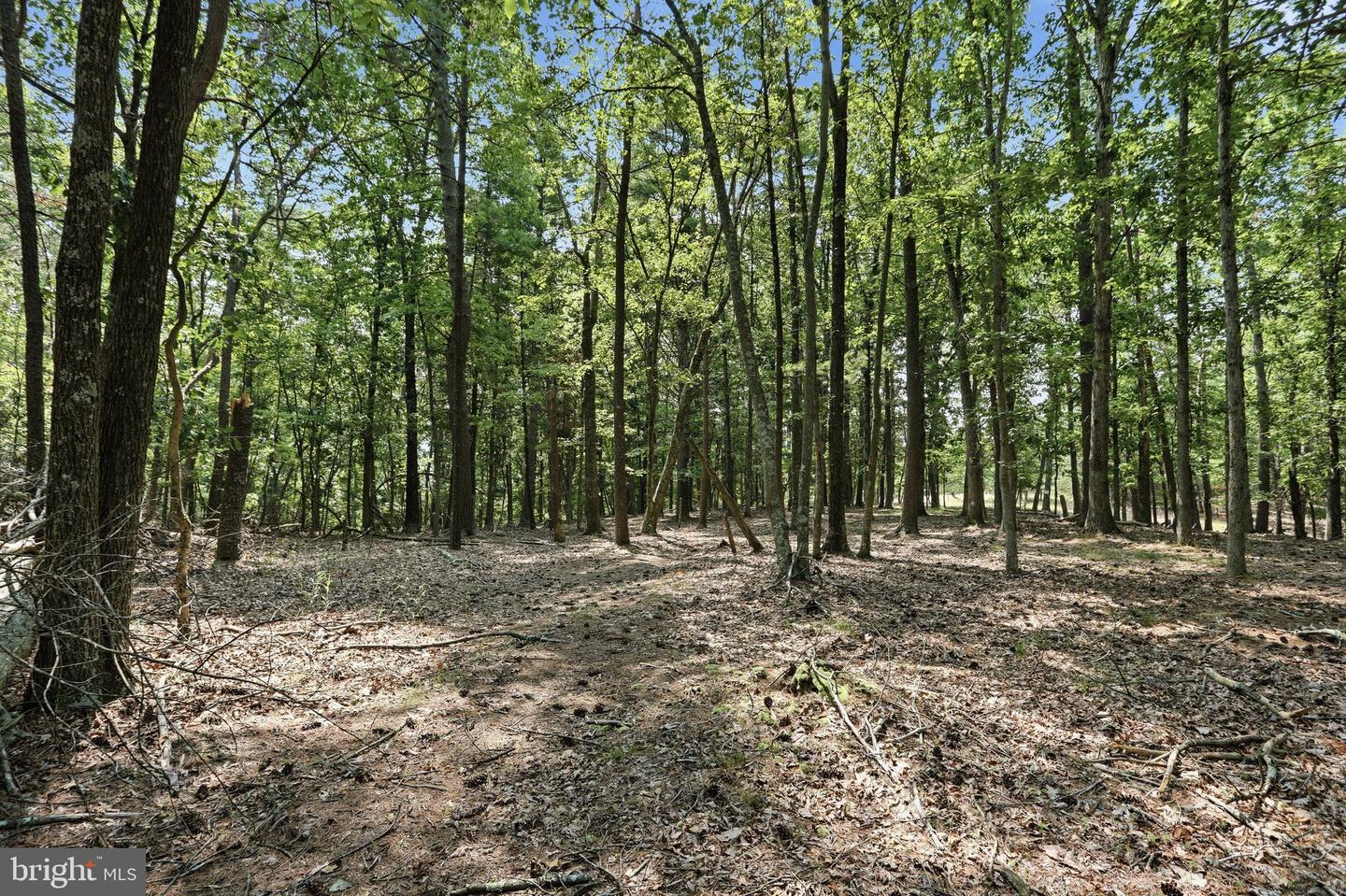 Chase Woods Lane Lots 2-6 Property Photo 18