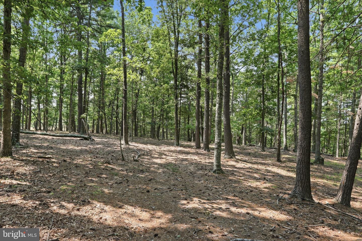 Chase Woods Lane Lots 2-6 Property Photo 19