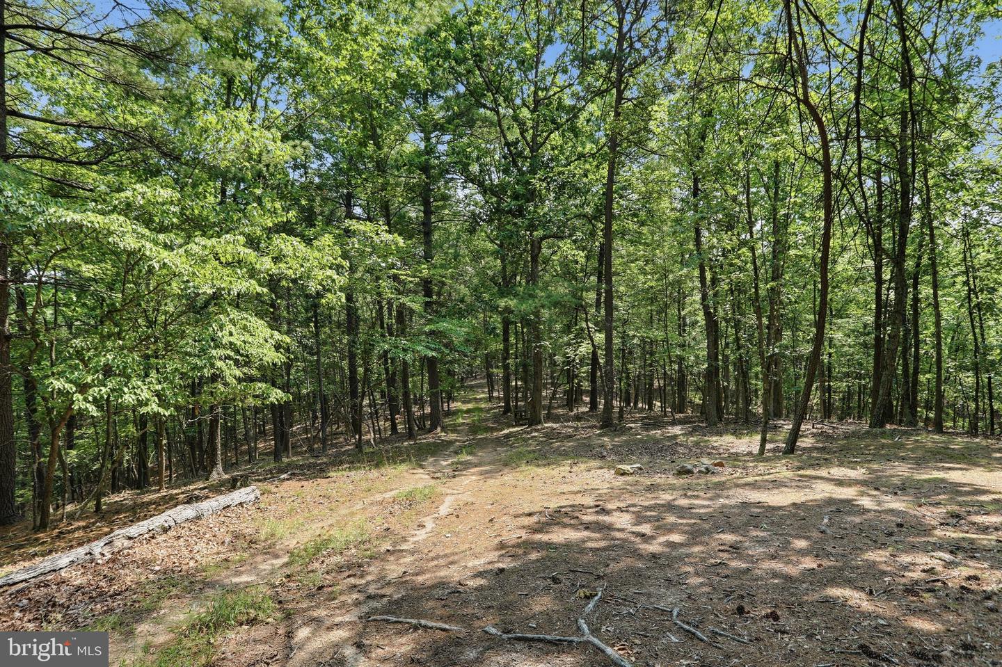 Chase Woods Lane Lots 2-6 Property Photo 20