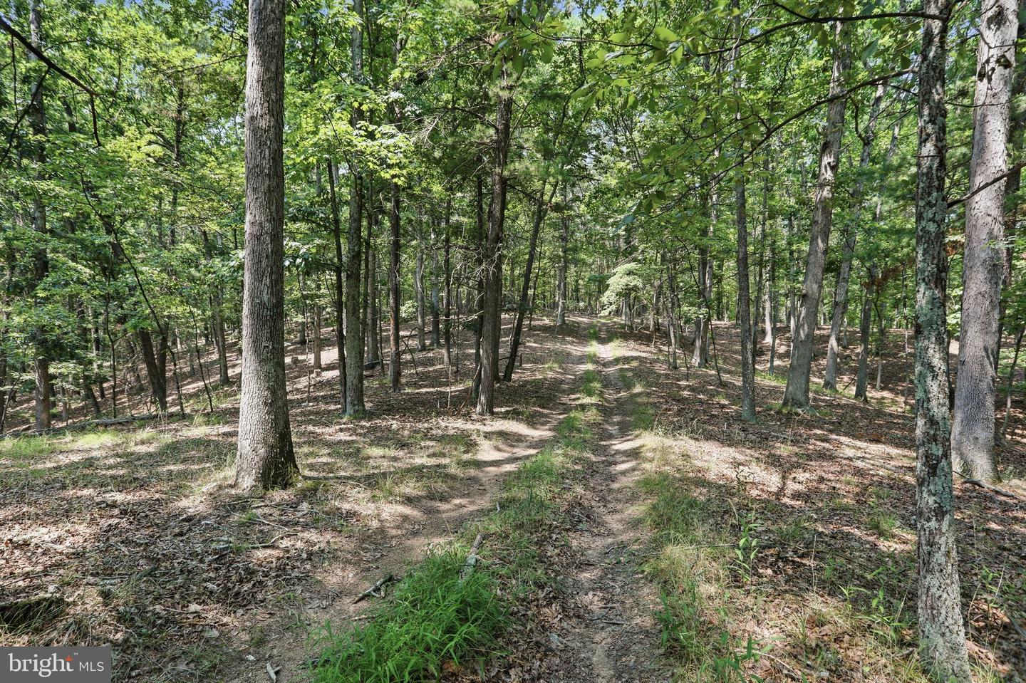 Chase Woods Lane Lots 2-6 Property Photo 21