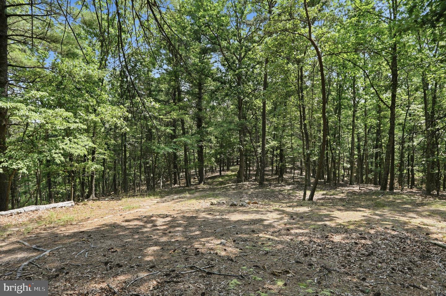 Chase Woods Lane Lots 2-6 Property Photo 22