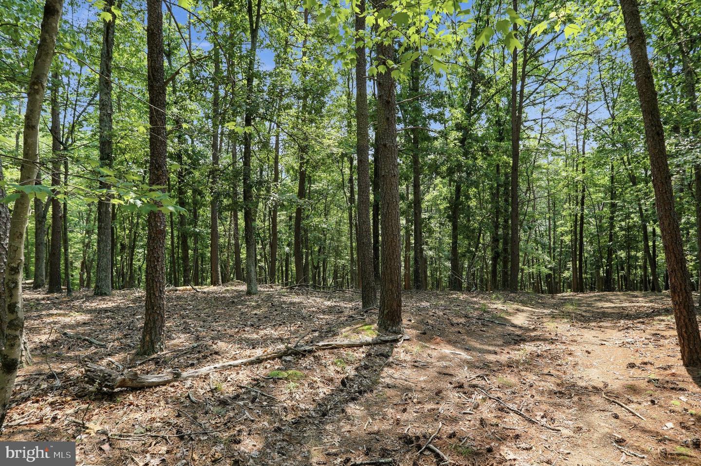 Chase Woods Lane Lots 2-6 Property Photo 23