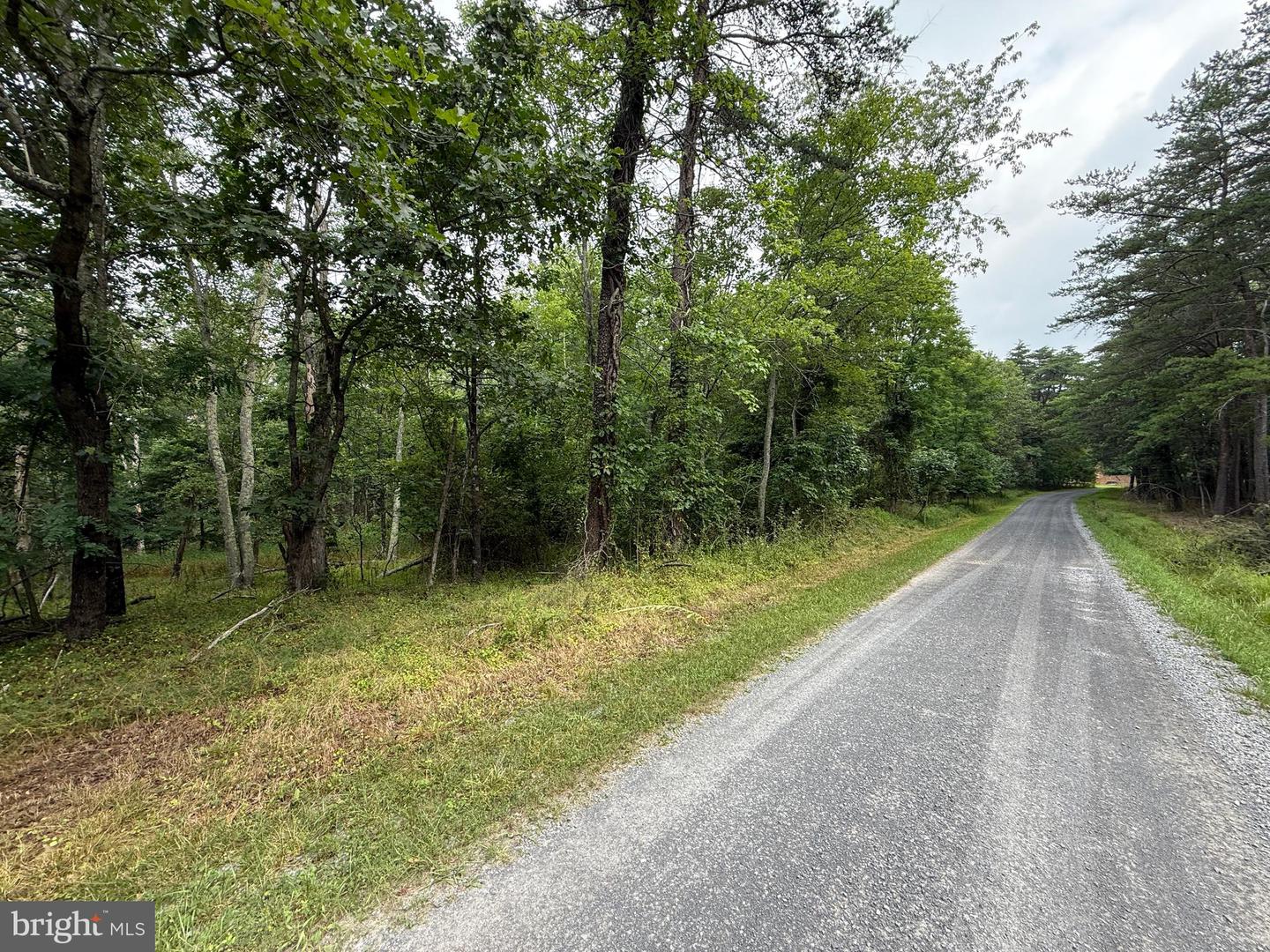 Hungaria Avenue Property Photo 2