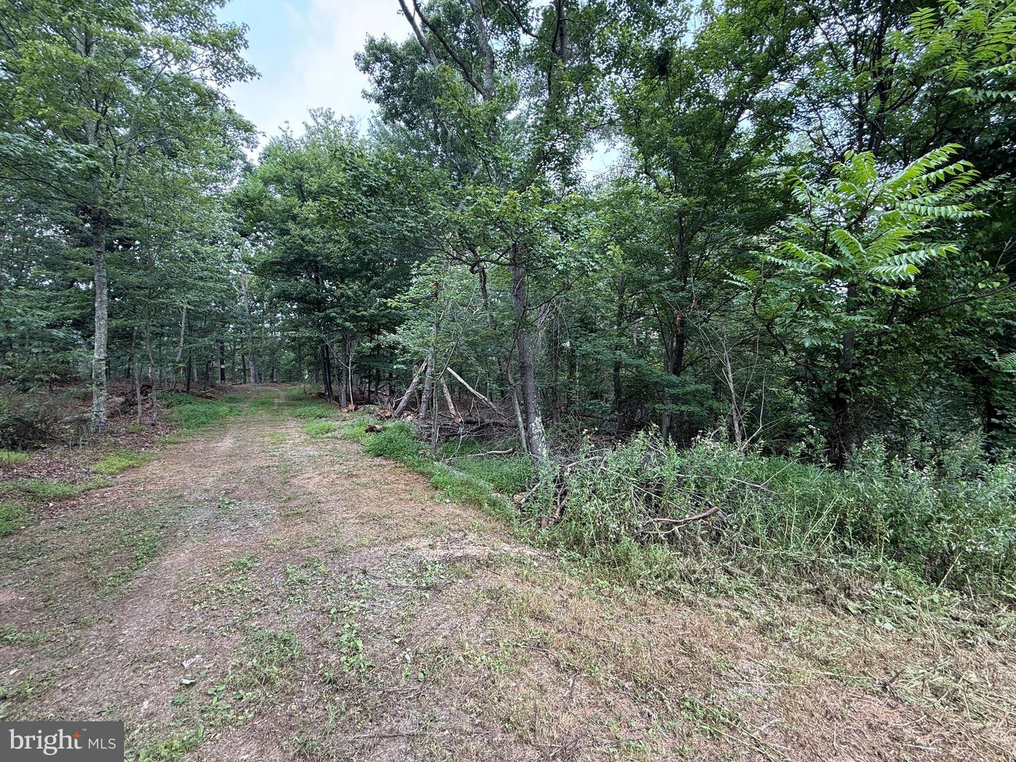 Hungaria Avenue Property Photo 3