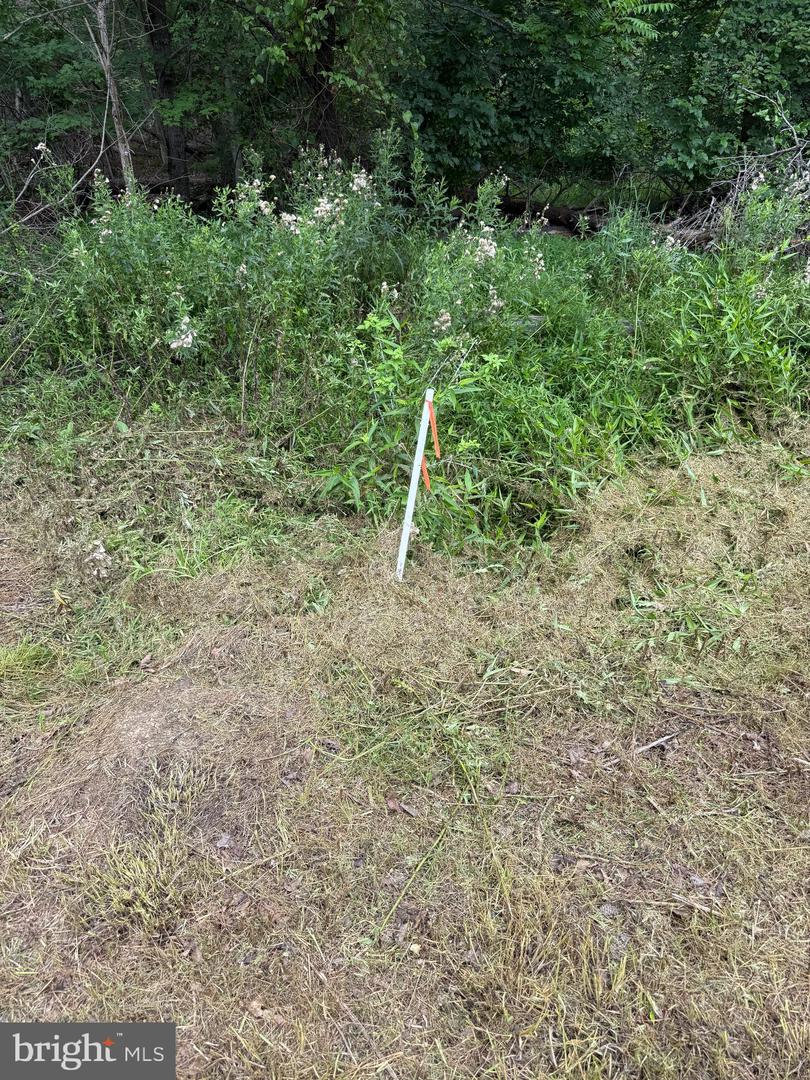Hungaria Avenue Property Photo 4