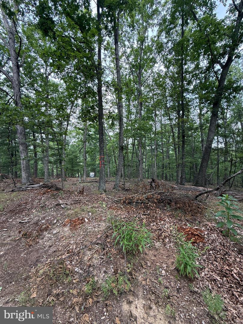 Hungaria Avenue Property Photo 5