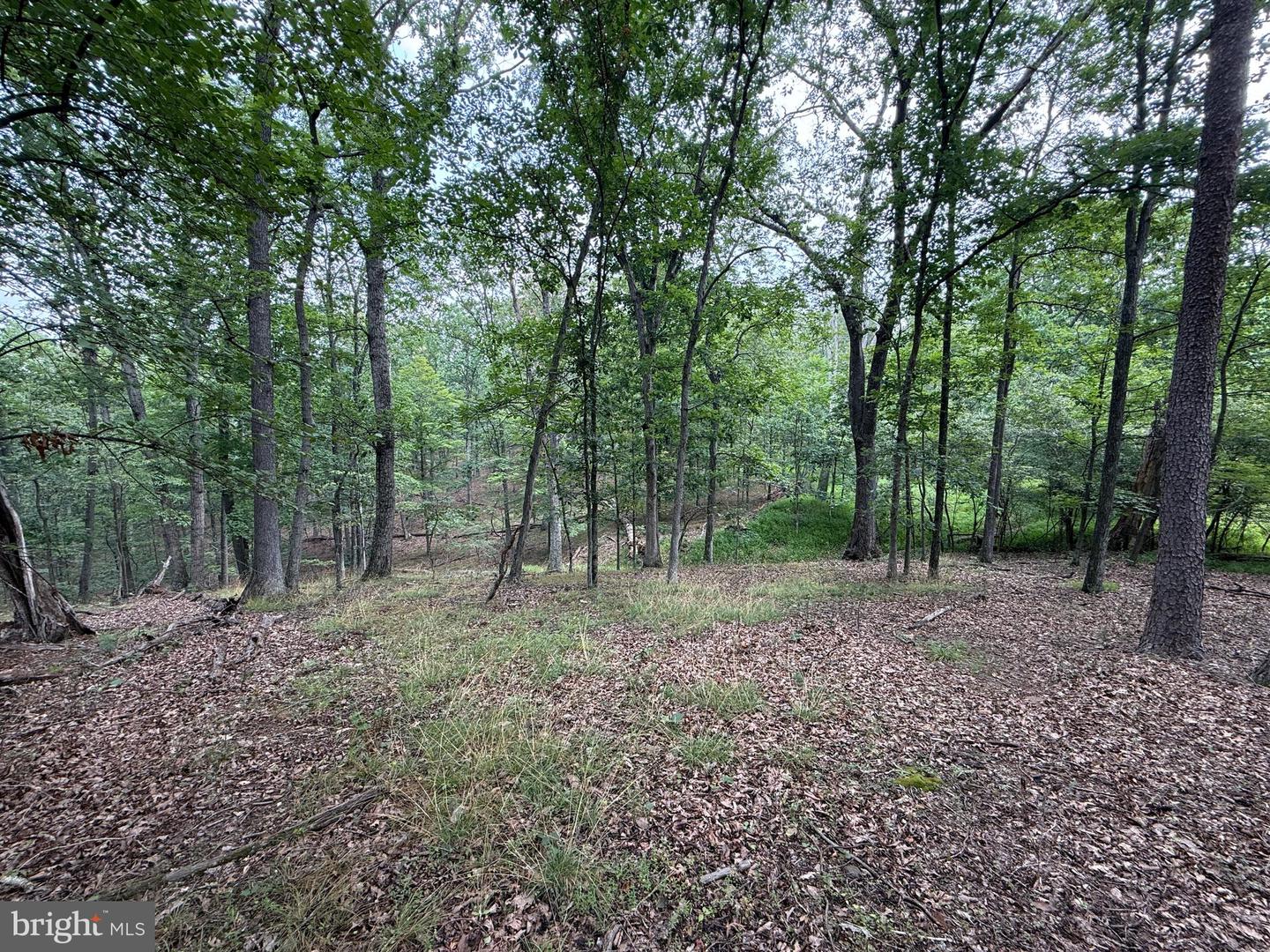 Hungaria Avenue Property Photo 8
