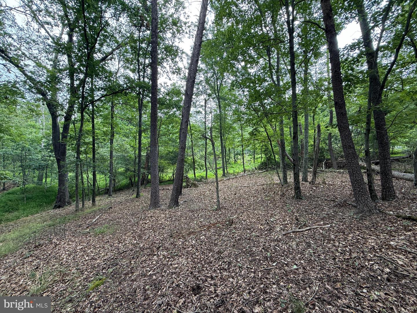Hungaria Avenue Property Photo 9