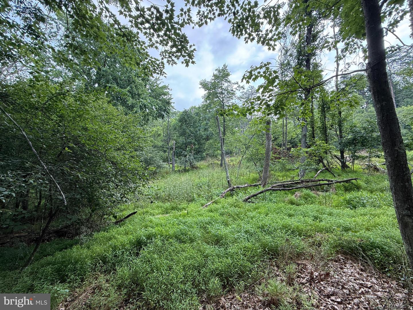 Hungaria Avenue Property Photo 10