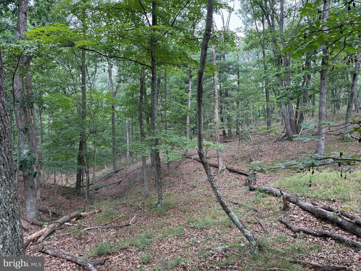 Hungaria Avenue Property Photo 13