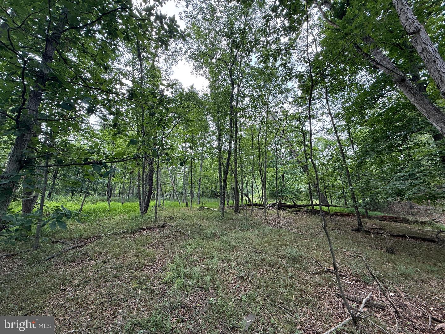 Hungaria Avenue Property Photo 14