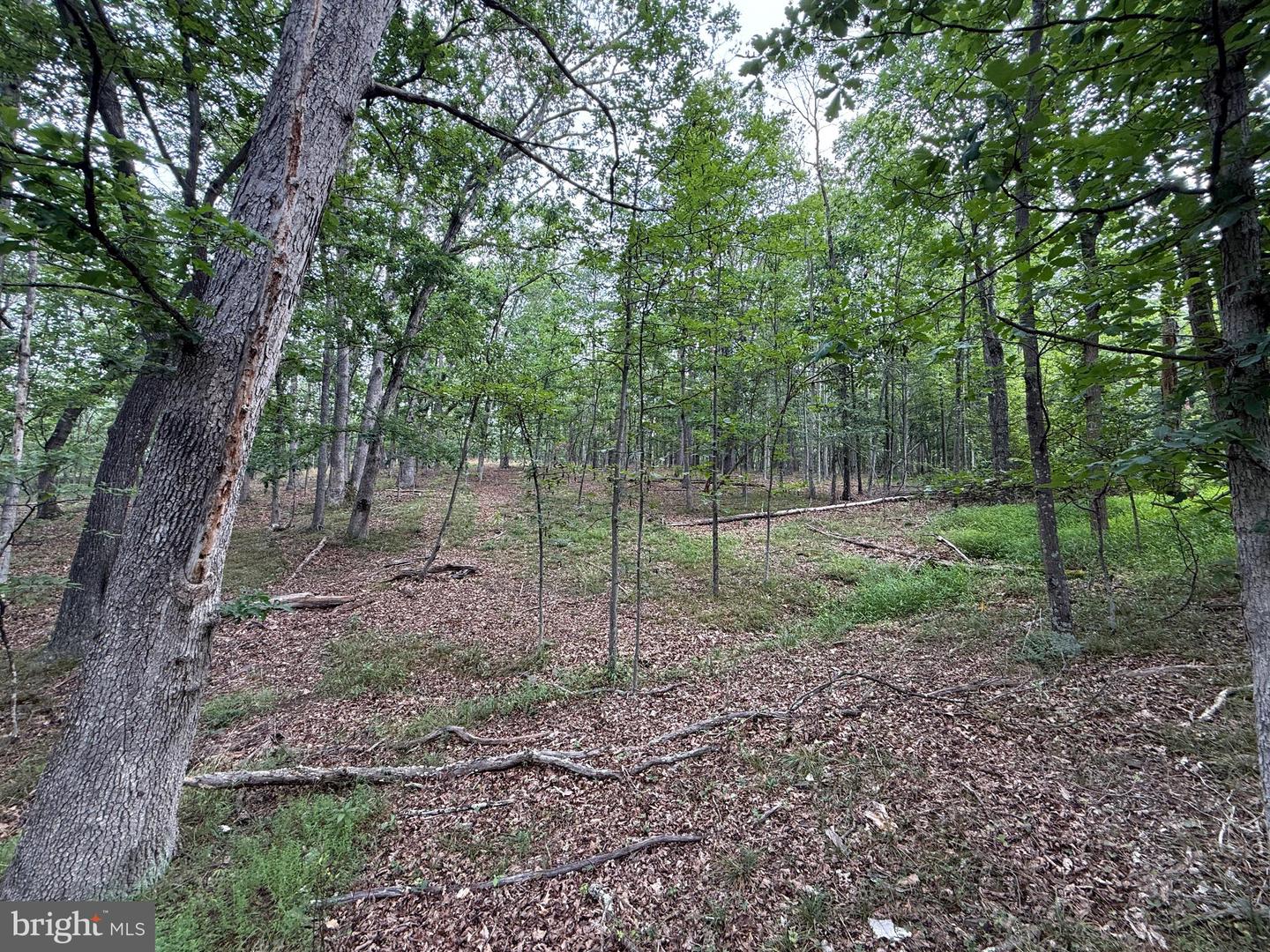 Hungaria Avenue Property Photo 15