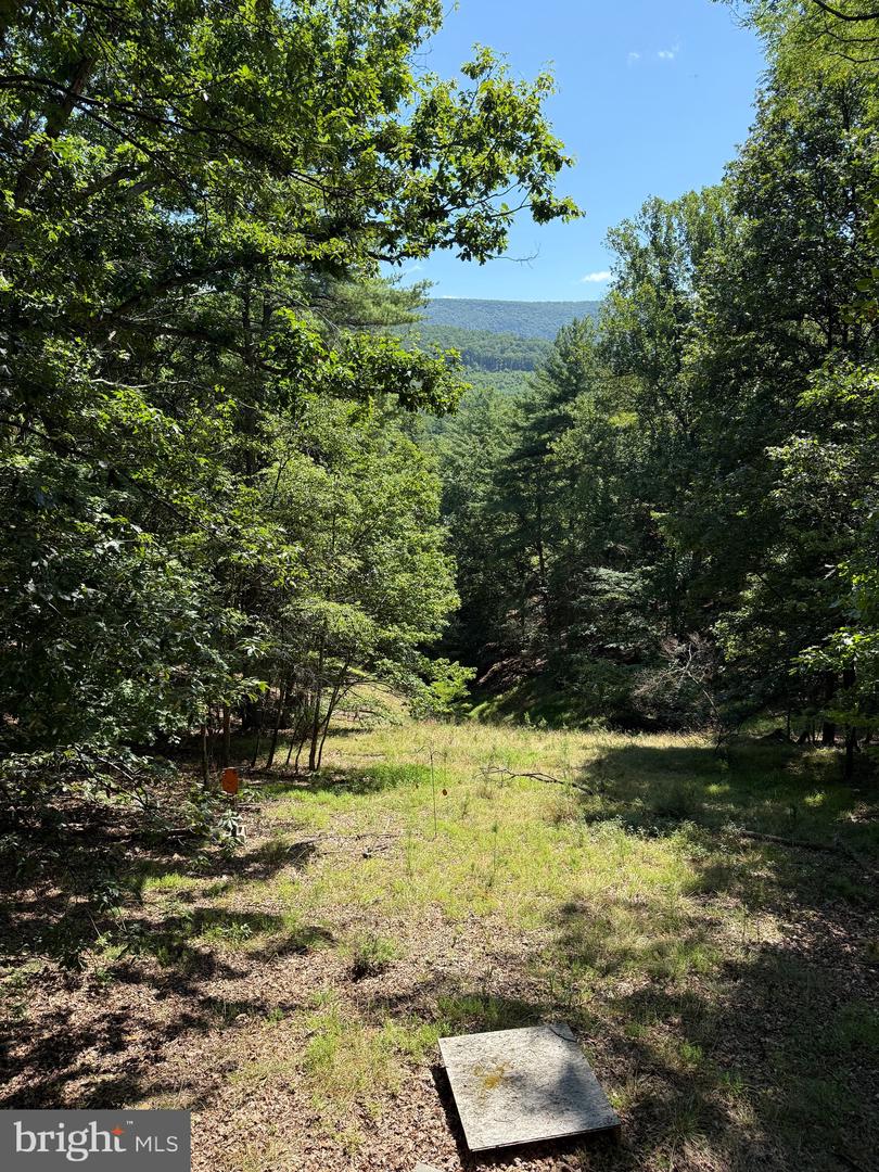 791 Cedar Run Ln Property Photo 15