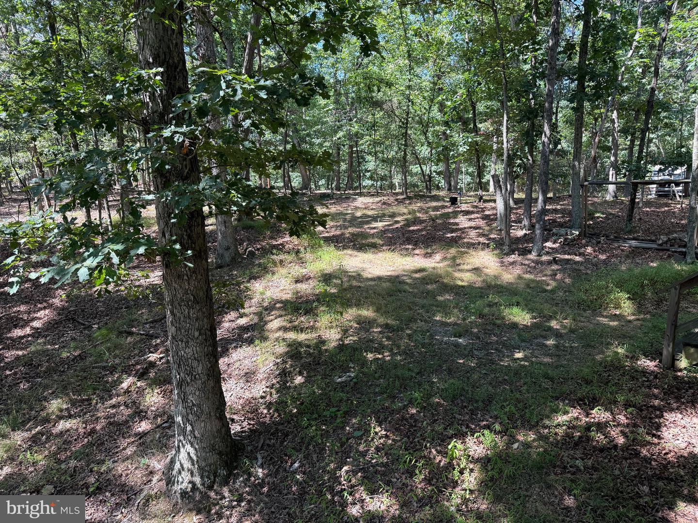 791 Cedar Run Ln Property Photo 21