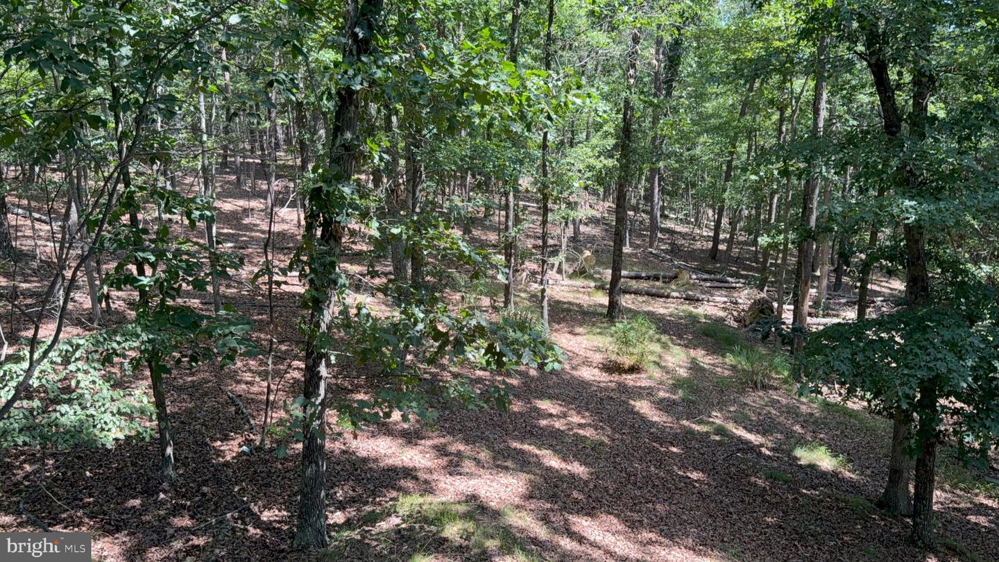 791 Cedar Run Ln Property Photo 23