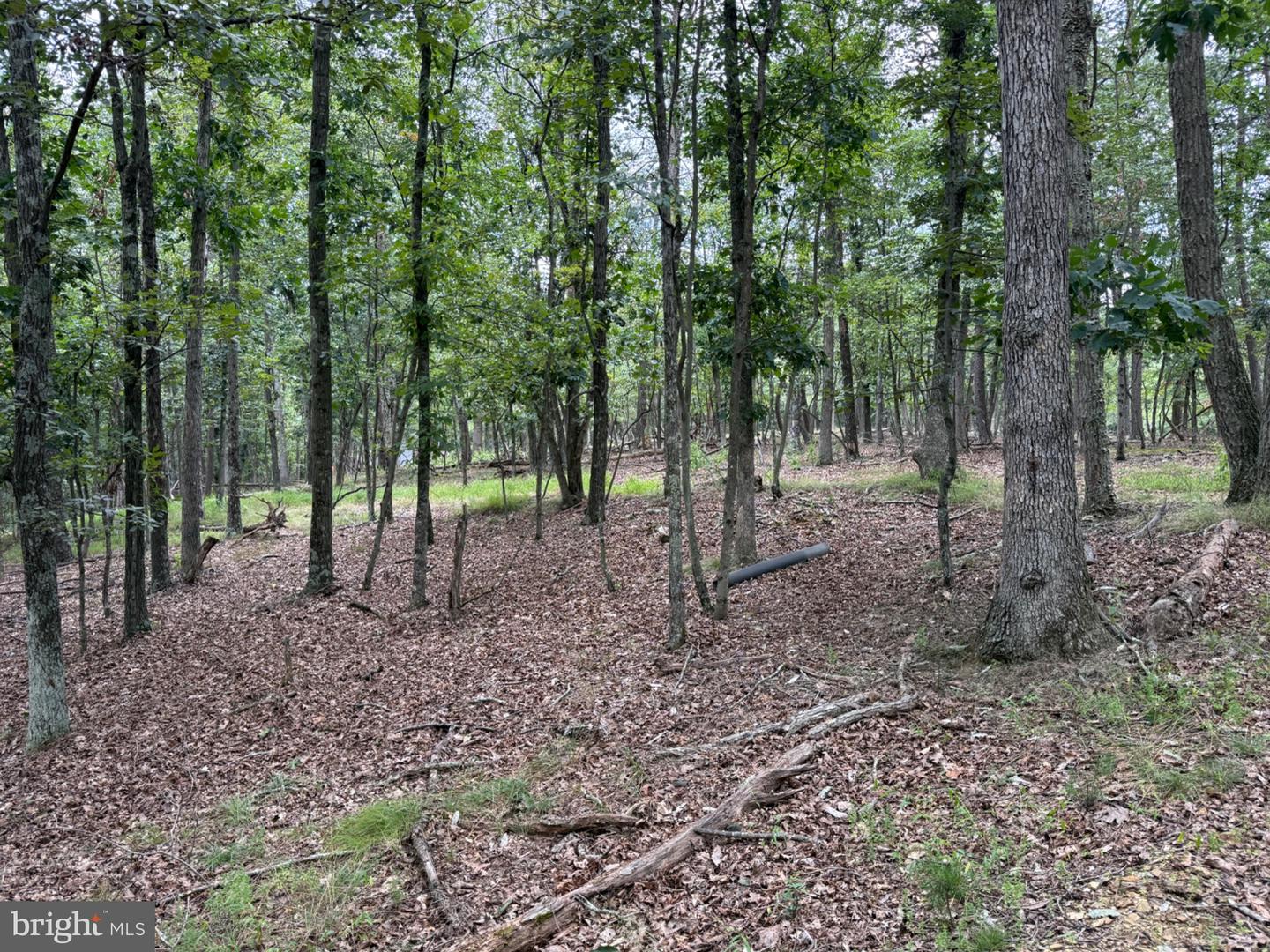 791 Cedar Run Ln Property Photo 24
