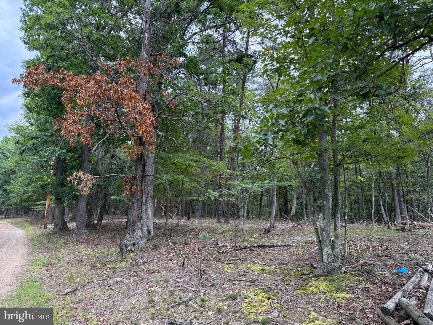 791 Cedar Run Ln Property Photo 27