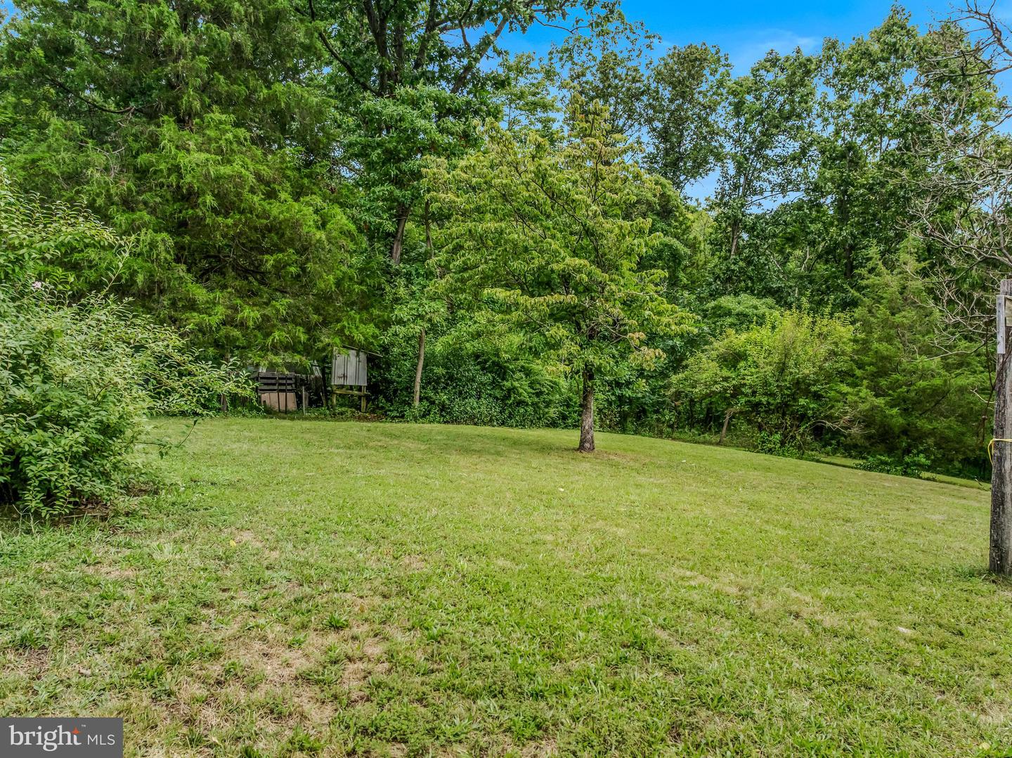 175 PHEASANT LN