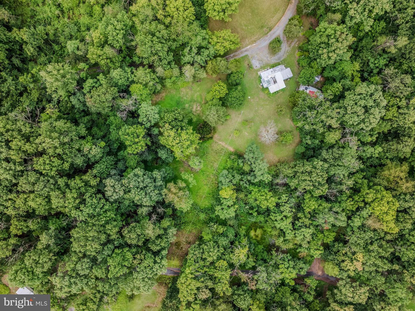 175 Pheasant Ln Property Photo 8