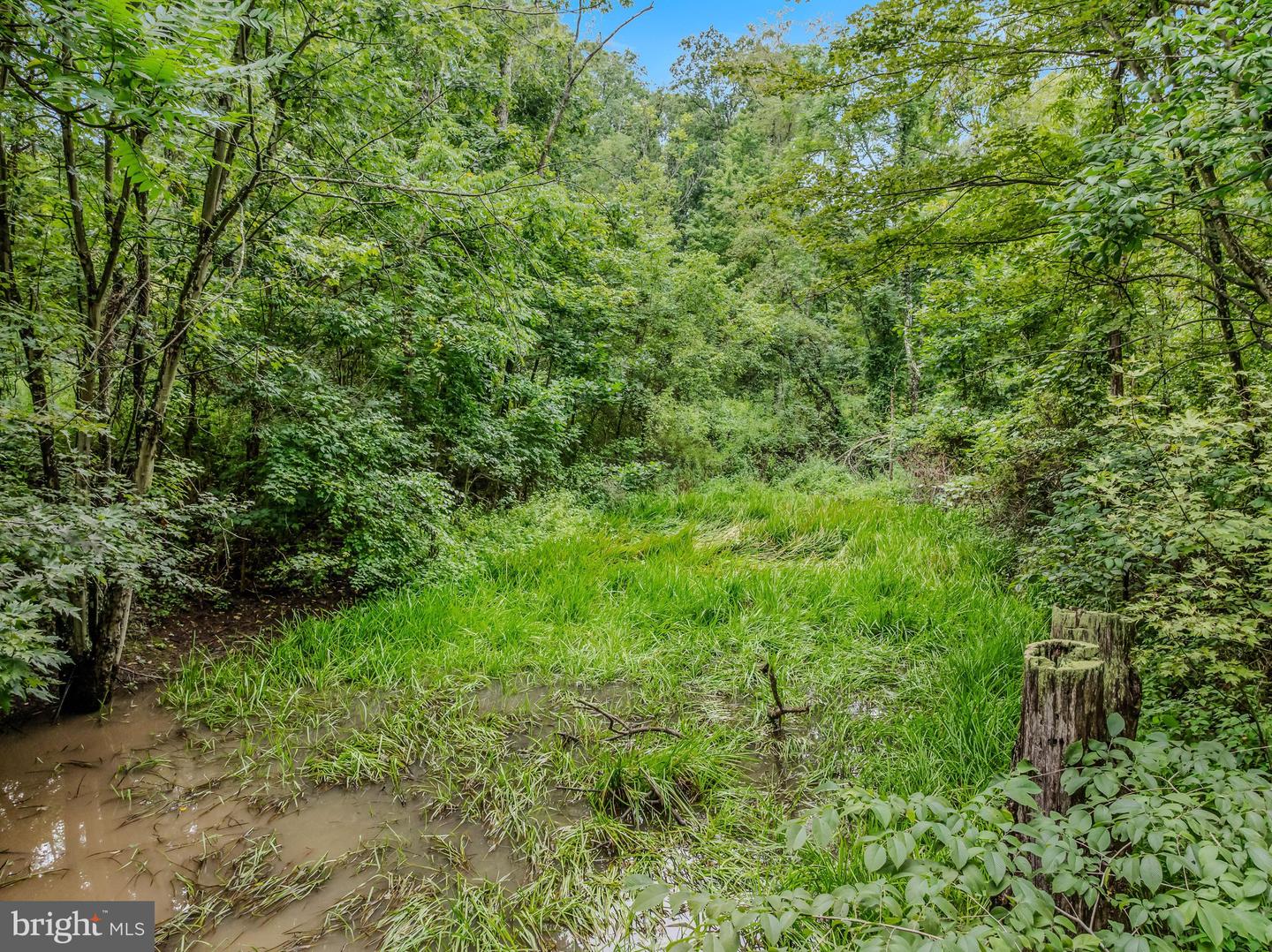 175 Pheasant Ln Property Photo 16