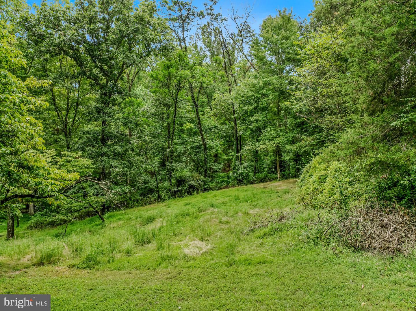 175 Pheasant Ln Property Photo 17