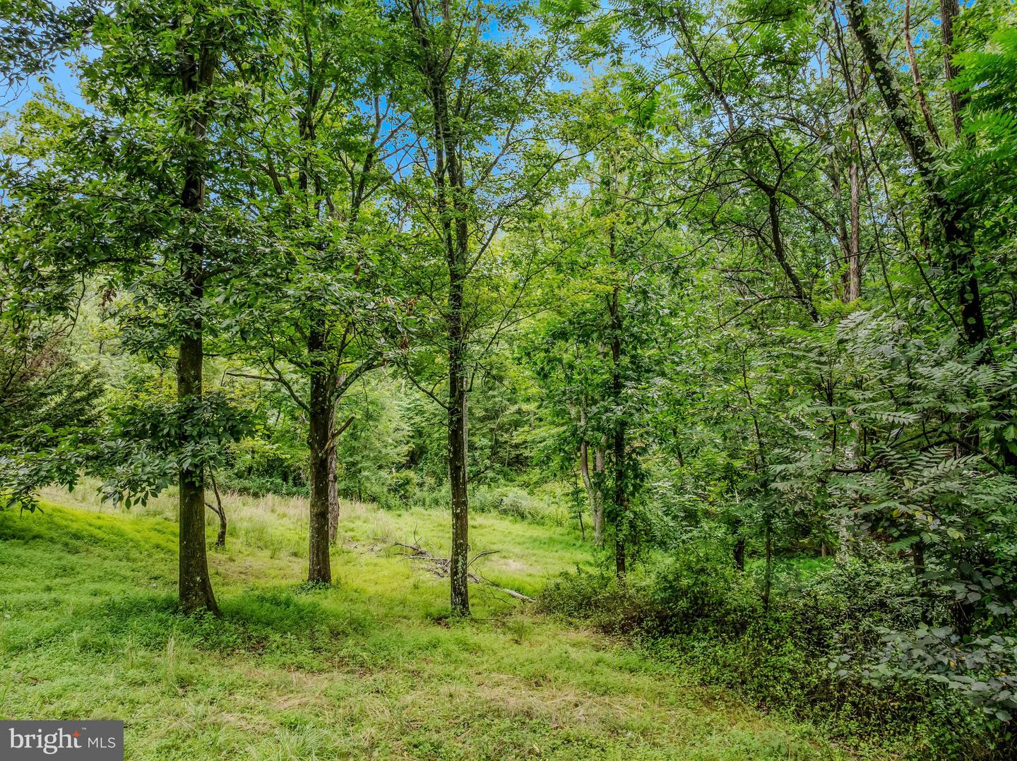 175 Pheasant Ln Property Photo 18