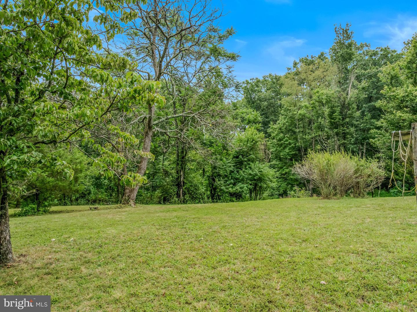175 Pheasant Ln Property Photo 20