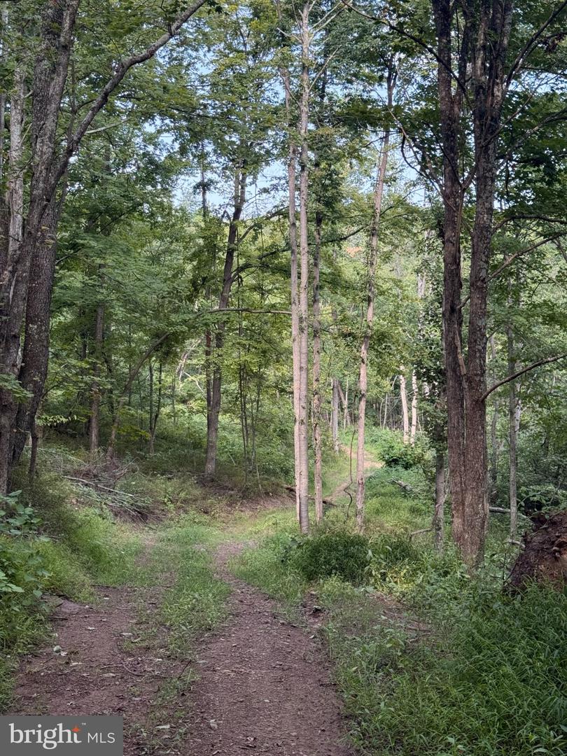 Sir Johns Run Rd Property Photo 8