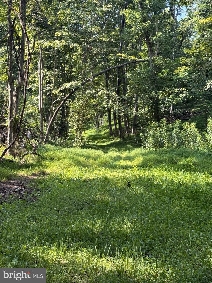 Sir Johns Run Rd Property Photo 10