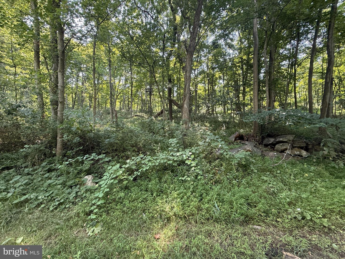 Sir Johns Run Rd Property Photo 12