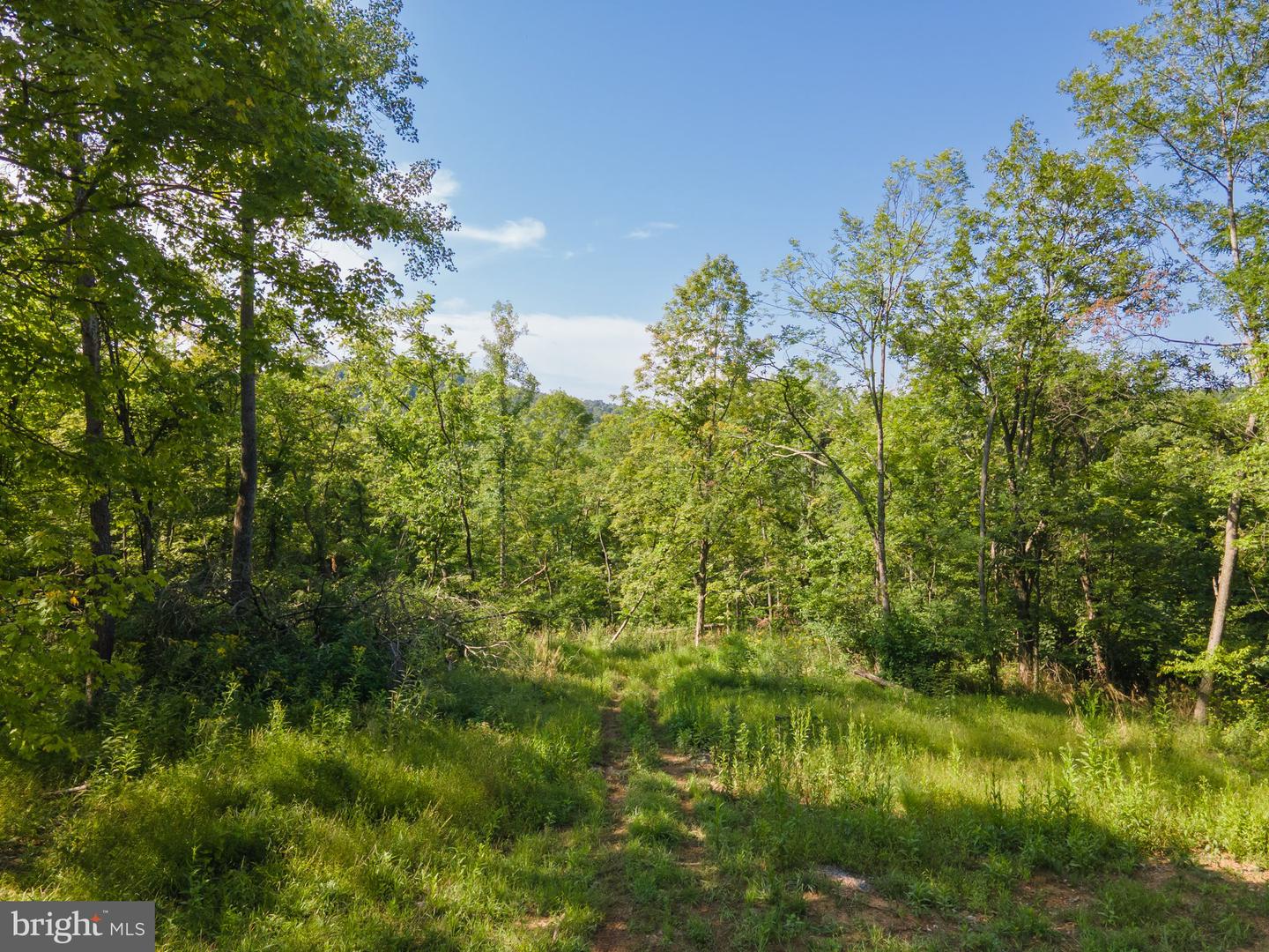 Sir Johns Run Rd Property Photo 15