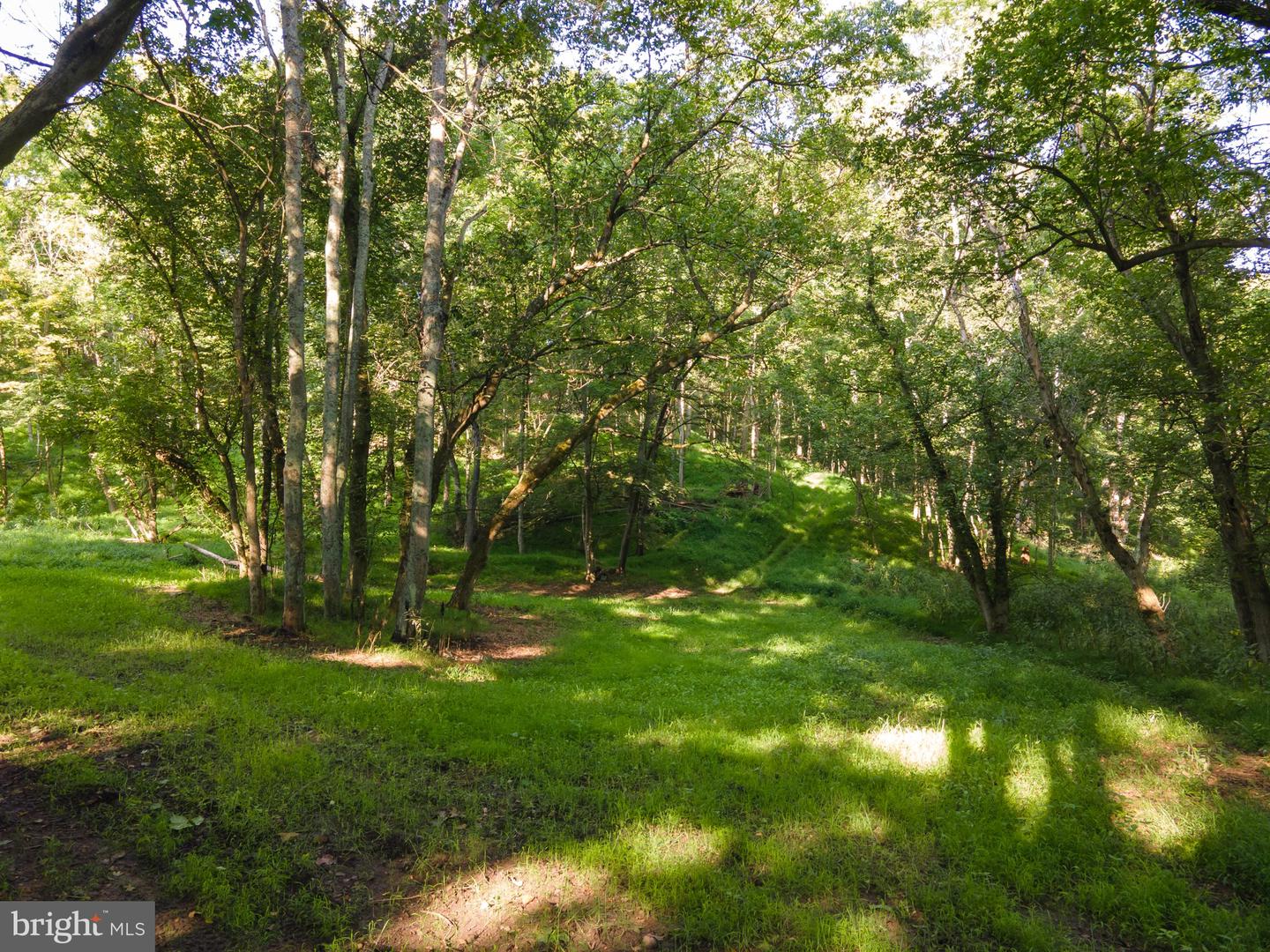 Sir Johns Run Rd Property Photo 29