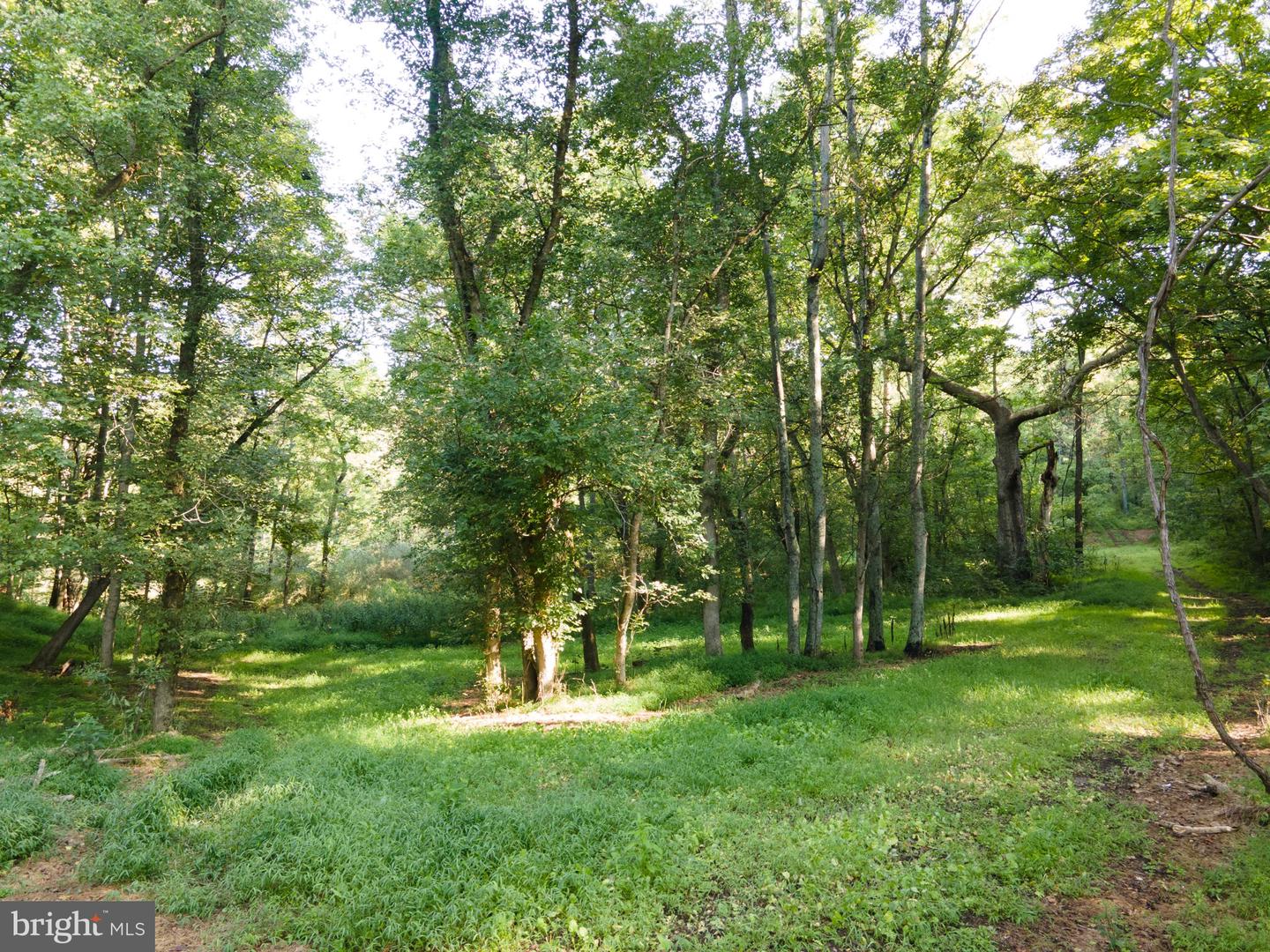 Sir Johns Run Rd Property Photo 31
