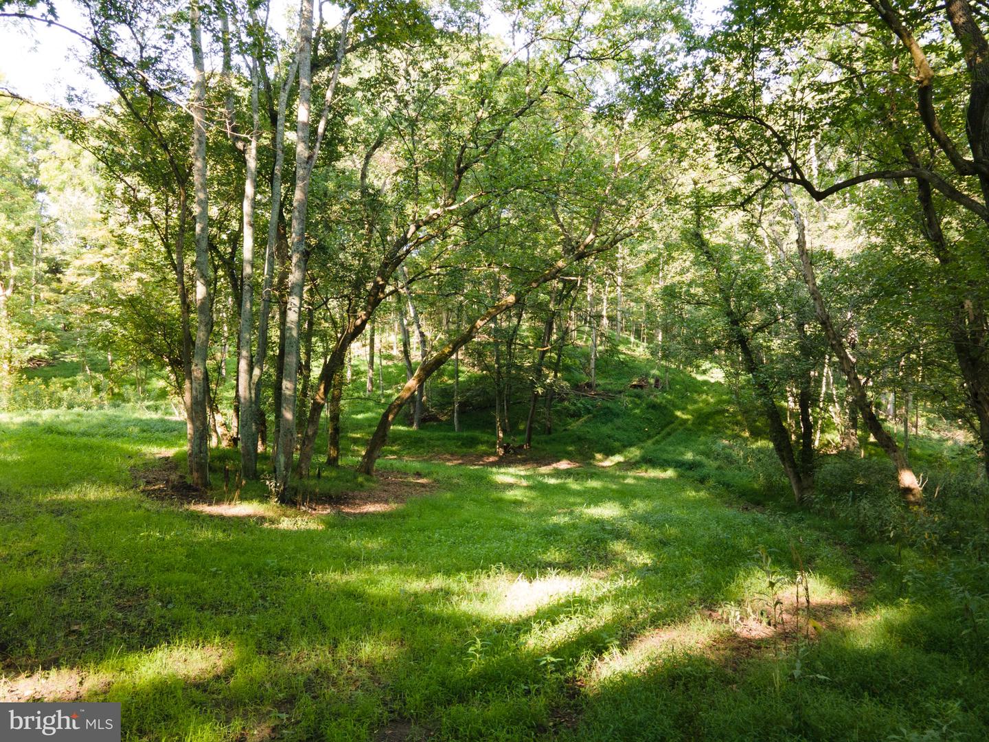 Sir Johns Run Rd Property Photo 33