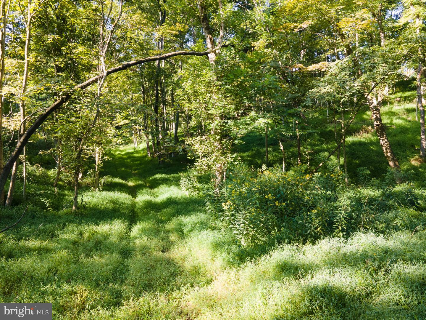 Sir Johns Run Rd Property Photo 34