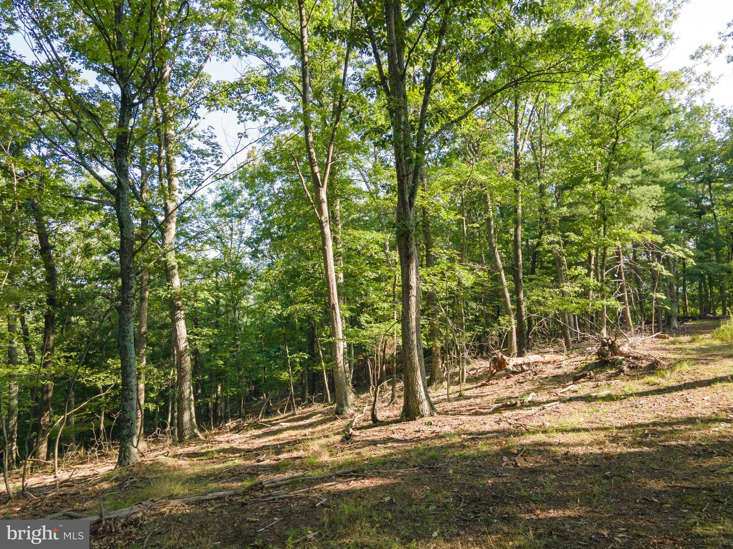 Sir Johns Run Rd Property Photo 37