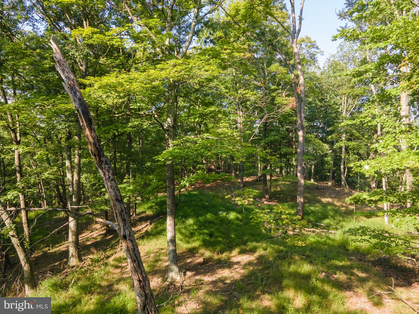 Sir Johns Run Rd Property Photo 38
