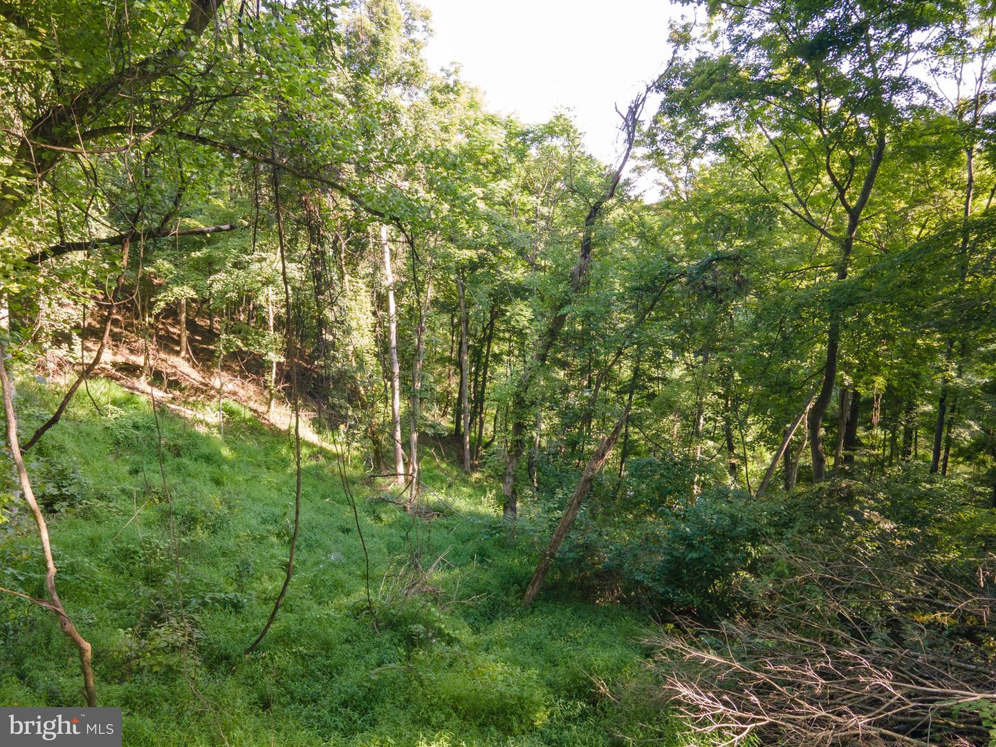 Sir Johns Run Rd Property Photo 39