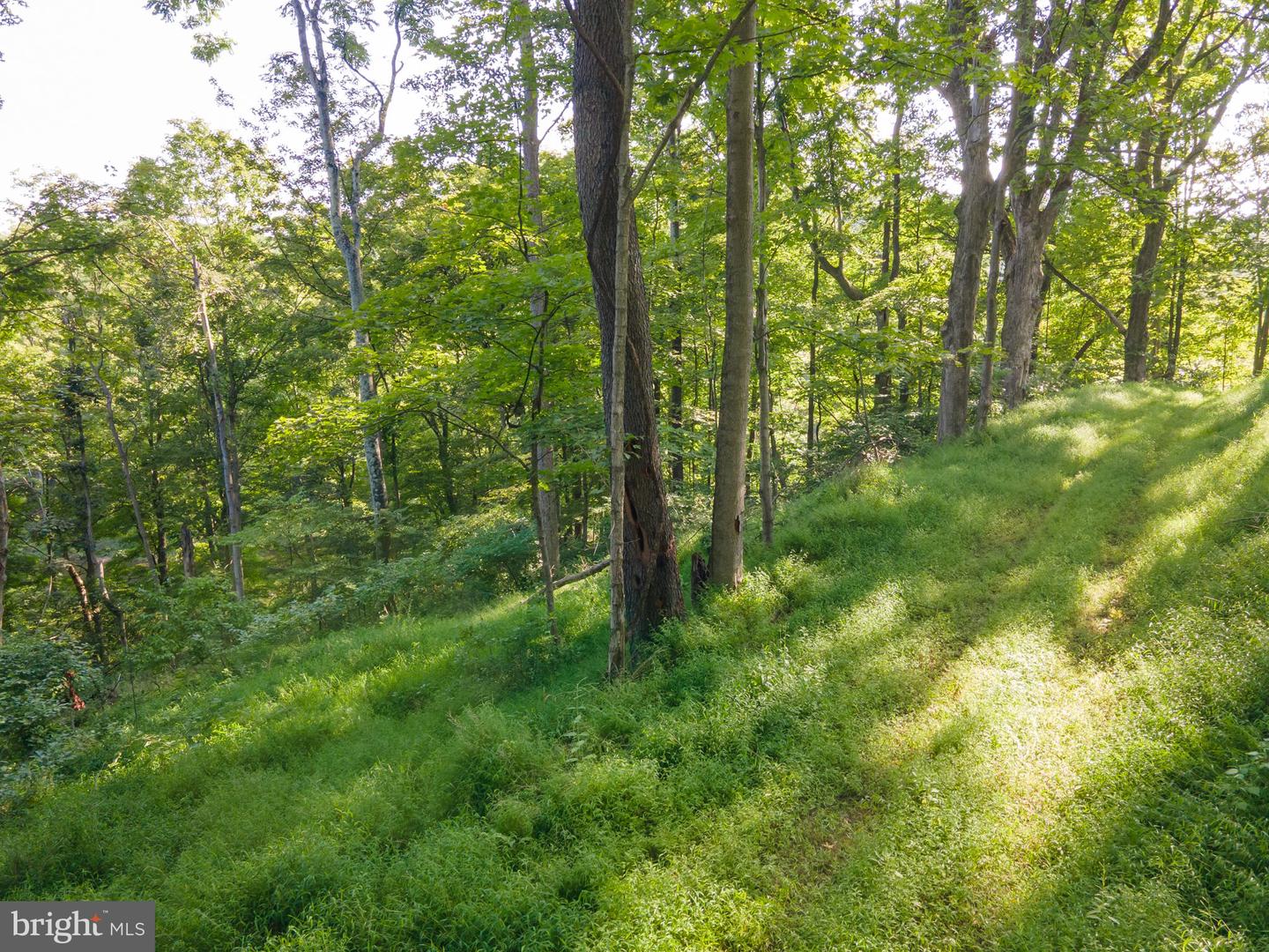 Sir Johns Run Rd Property Photo 40