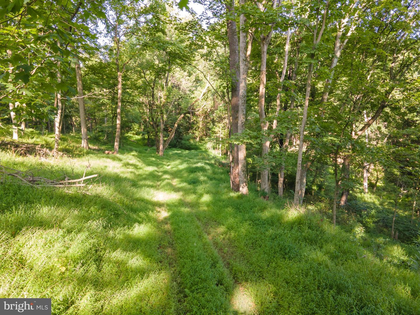 Sir Johns Run Rd Property Photo 41