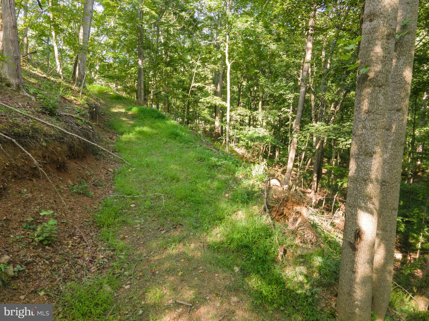 Sir Johns Run Rd Property Photo 44