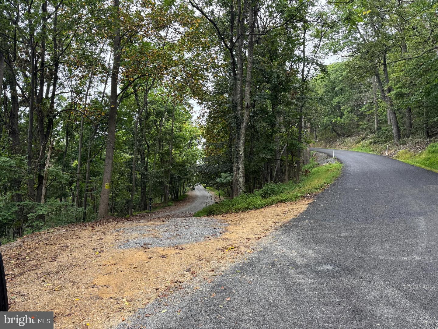 812 Lonesome Pine Ln Property Photo 1