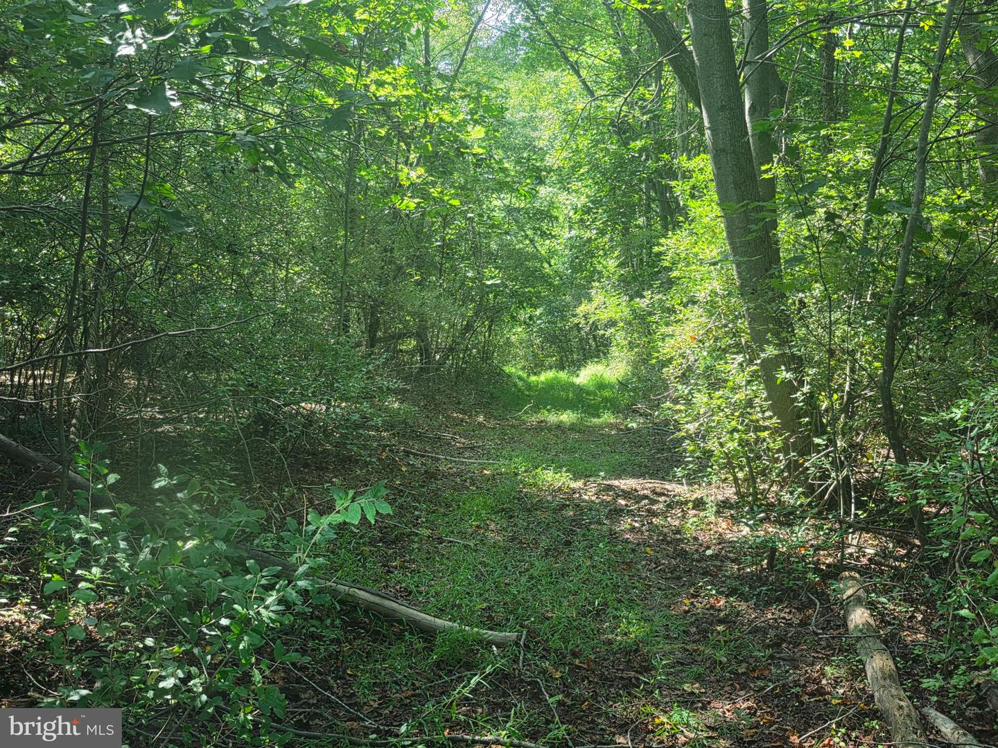 Terry's Road #lot 35a Property Photo 1