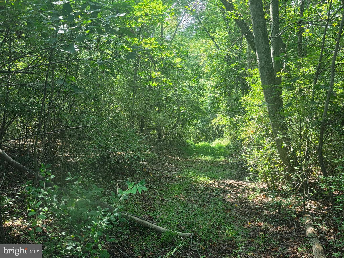 Terry's Road #lot 35a Property Photo 5