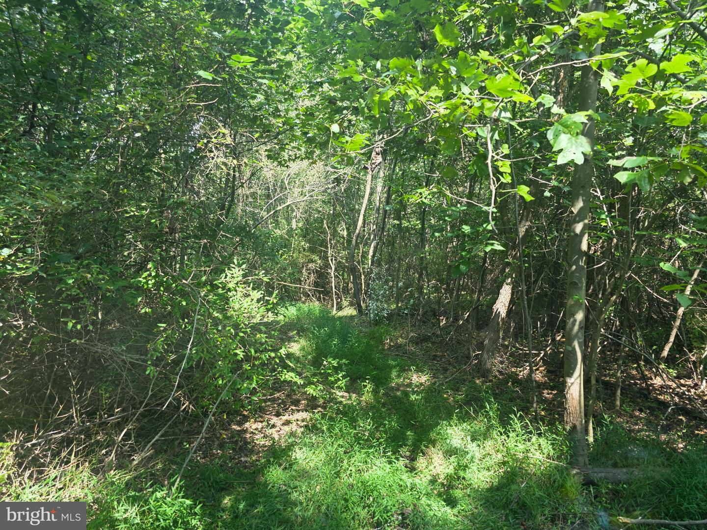Terry's Road #lot 35a Property Photo 8