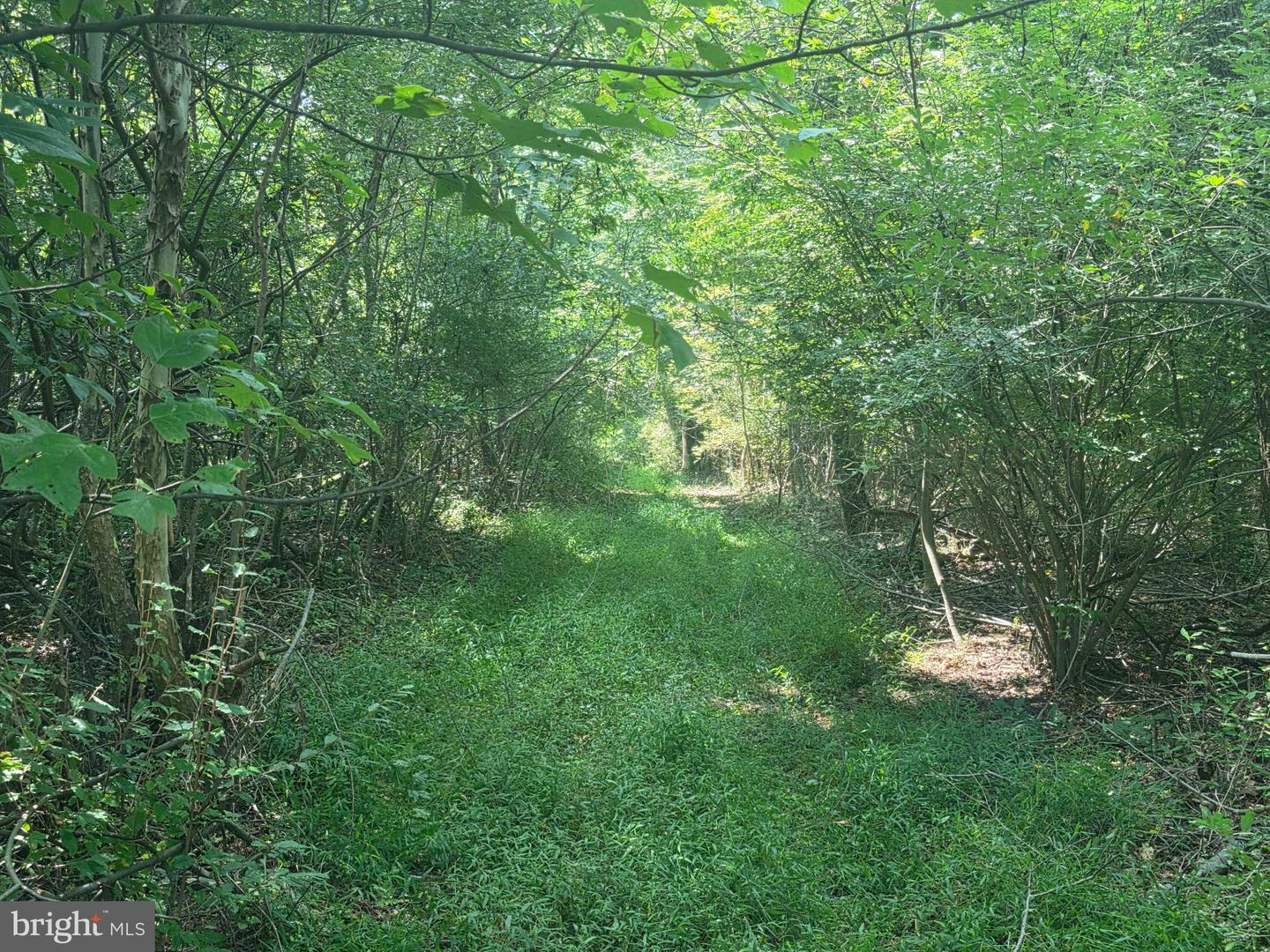 Terry's Road #lot 35a Property Photo 9