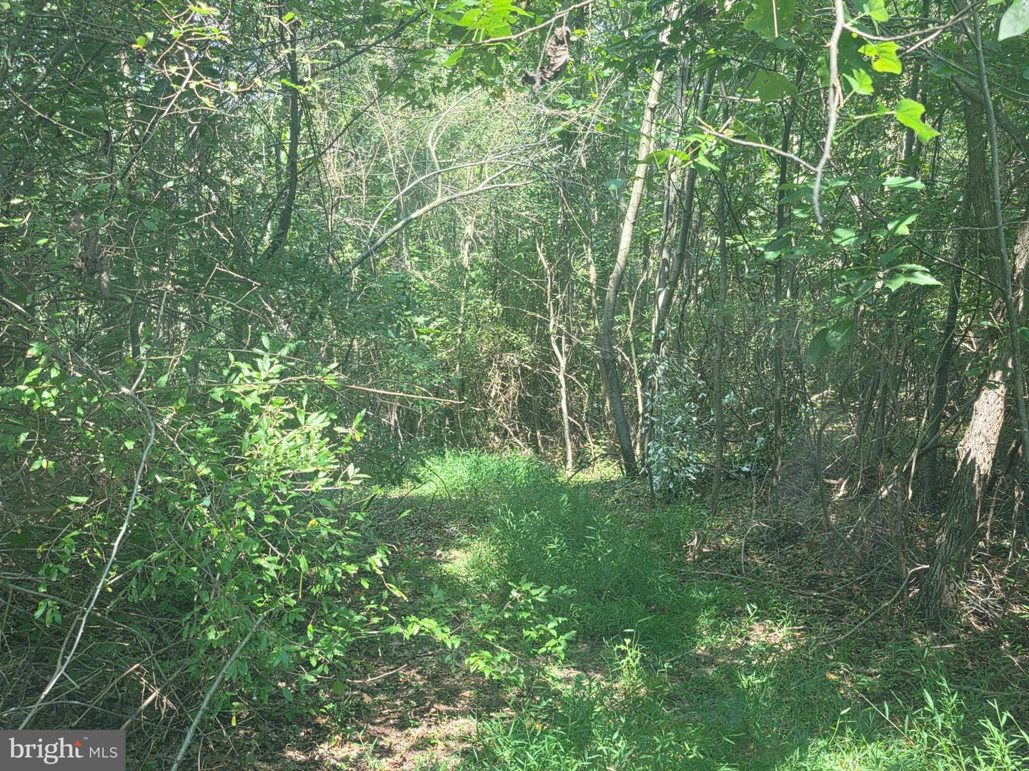 Terry's Road #lot 35a Property Photo 10