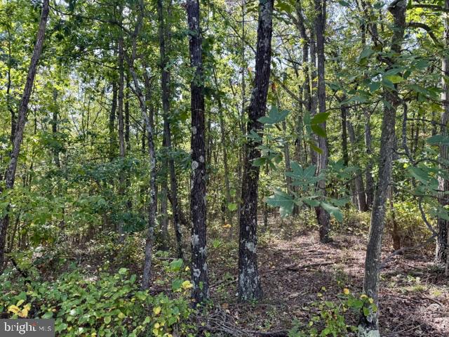 Hungaria Rd #lot 21 Property Photo 5